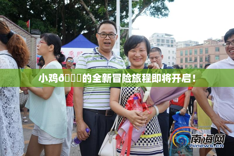 小鸡🐔的全新冒险旅程即将开启！