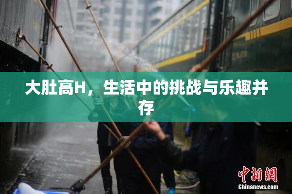 大肚高H，生活中的挑战与乐趣并存