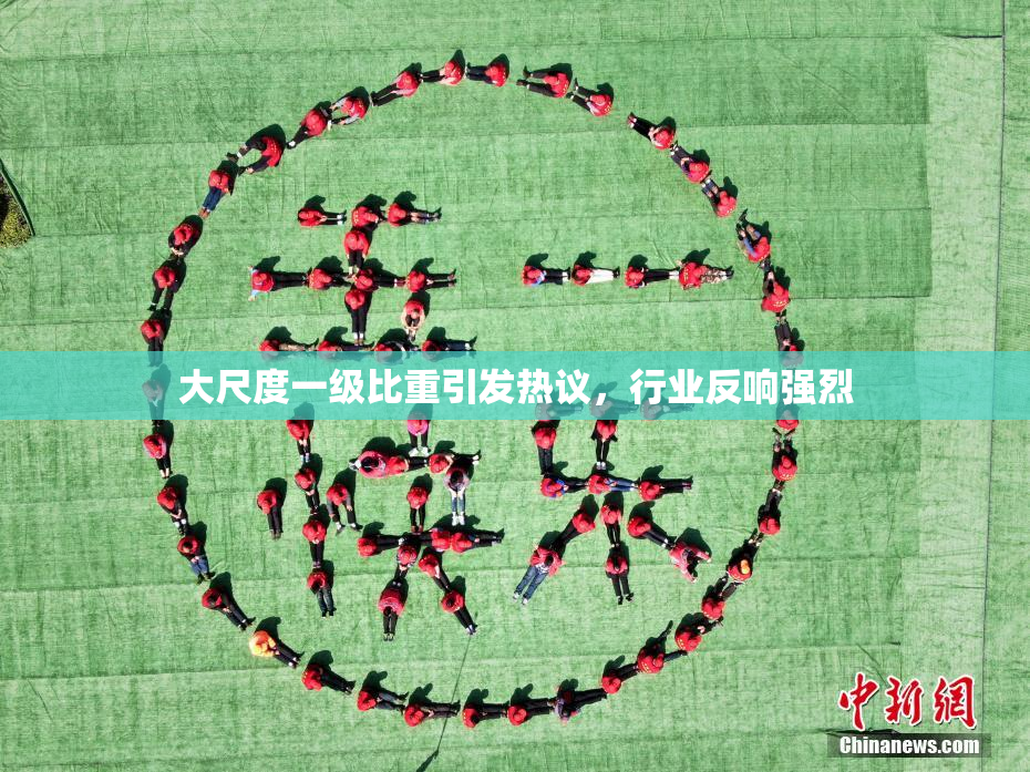 大尺度一级比重引发热议，行业反响强烈