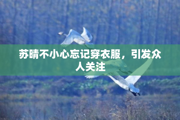 苏晴不小心忘记穿衣服，引发众人关注
