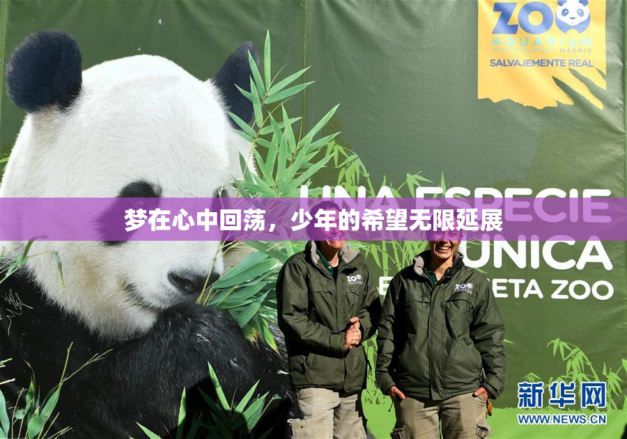 梦在心中回荡，少年的希望无限延展