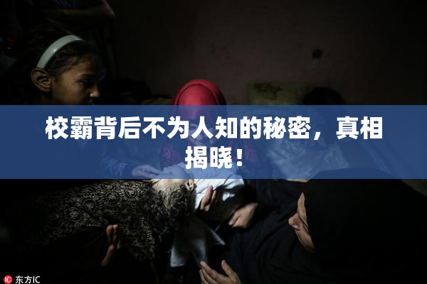 校霸背后不为人知的秘密，真相揭晓！