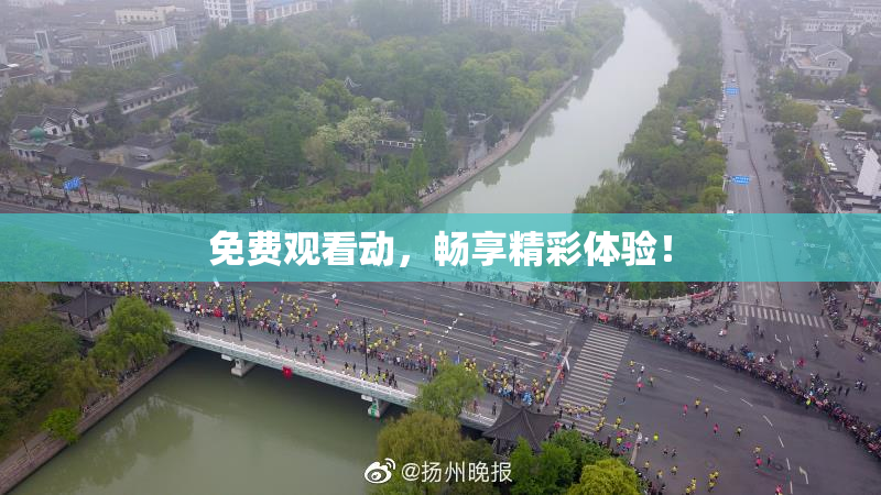 免费观看动，畅享精彩体验！