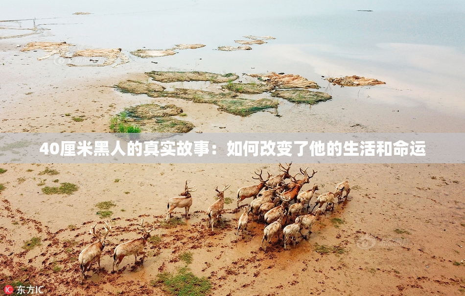 40厘米黑人的真实故事：如何改变了他的生活和命运