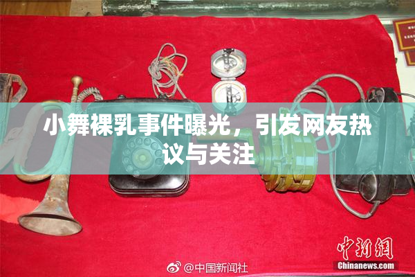 小舞裸乳事件曝光，引发网友热议与关注