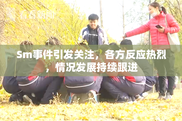 Sm事件引发关注，各方反应热烈，情况发展持续跟进