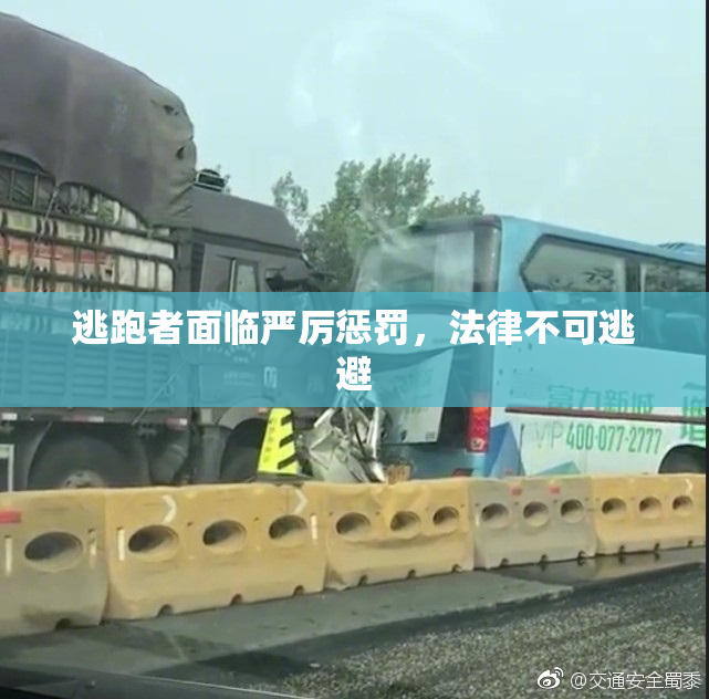 逃跑者面临严厉惩罚，法律不可逃避