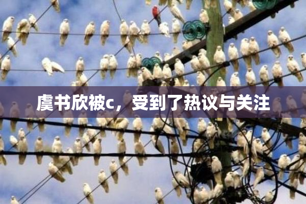 虞书欣被c，受到了热议与关注