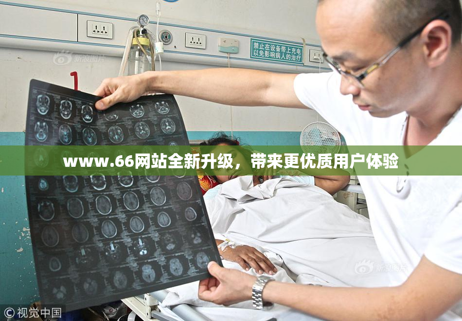 www.66网站全新升级，带来更优质用户体验