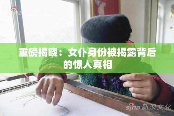重磅揭晓：女仆身份被揭露背后的惊人真相
