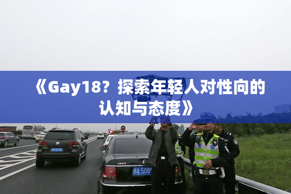 《Gay18？探索年轻人对性向的认知与态度》