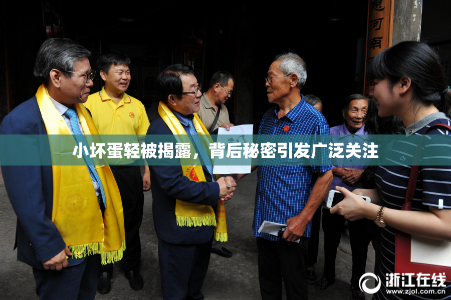 小坏蛋轻被揭露，背后秘密引发广泛关注