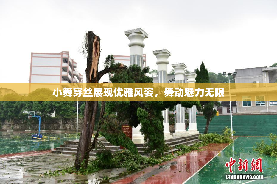 小舞穿丝展现优雅风姿，舞动魅力无限