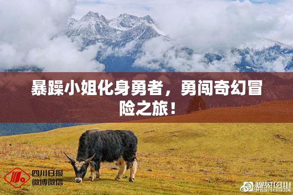 暴躁小姐化身勇者，勇闯奇幻冒险之旅！