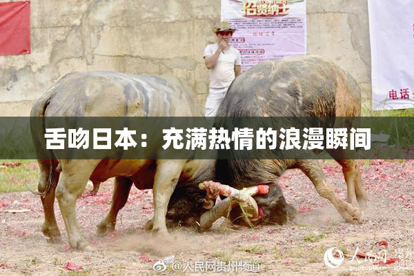 舌吻日本：充满热情的浪漫瞬间