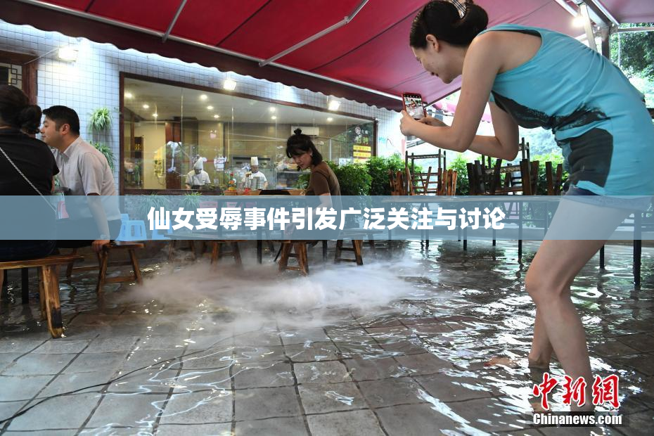仙女受辱事件引发广泛关注与讨论