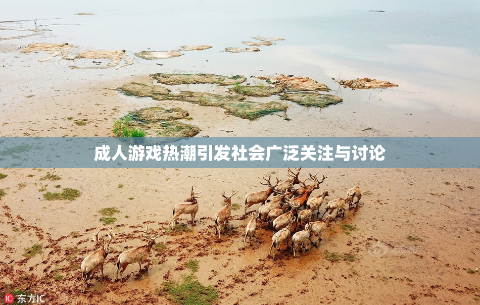 成人游戏热潮引发社会广泛关注与讨论
