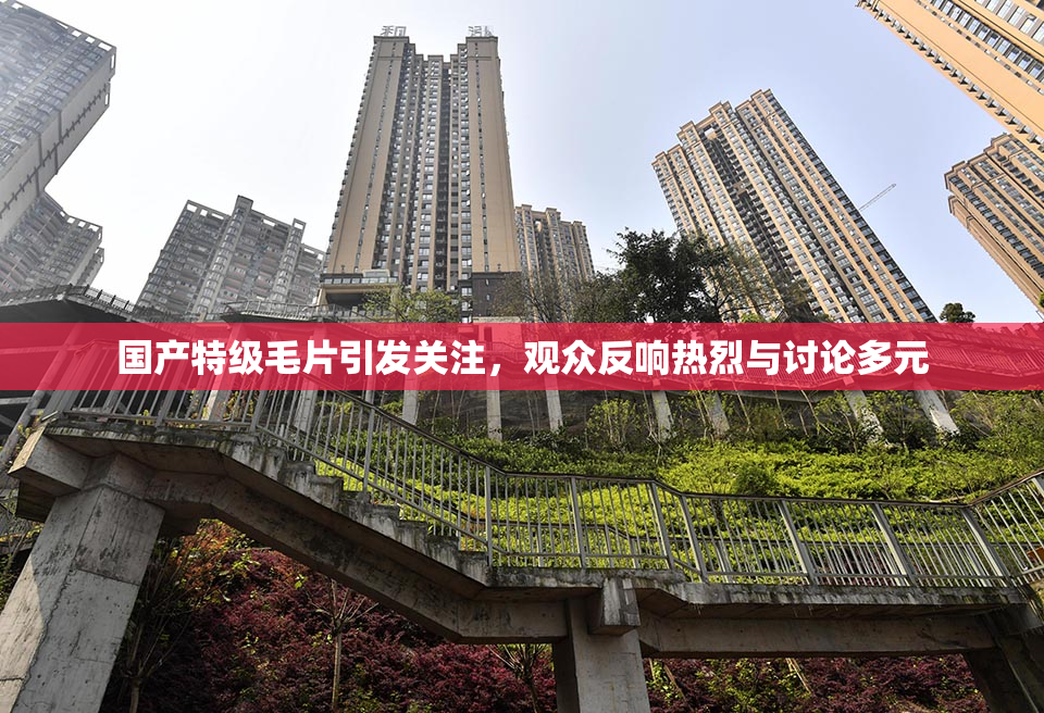 国产特级毛片引发关注，观众反响热烈与讨论多元