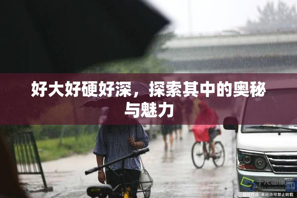 好大好硬好深，探索其中的奥秘与魅力