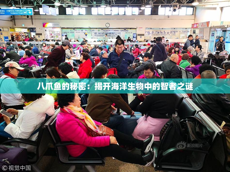八爪鱼的秘密：揭开海洋生物中的智者之谜