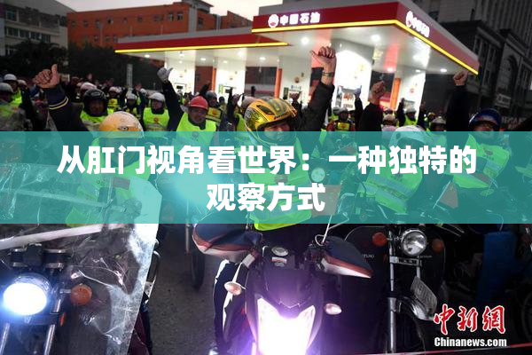 从肛门视角看世界：一种独特的观察方式
