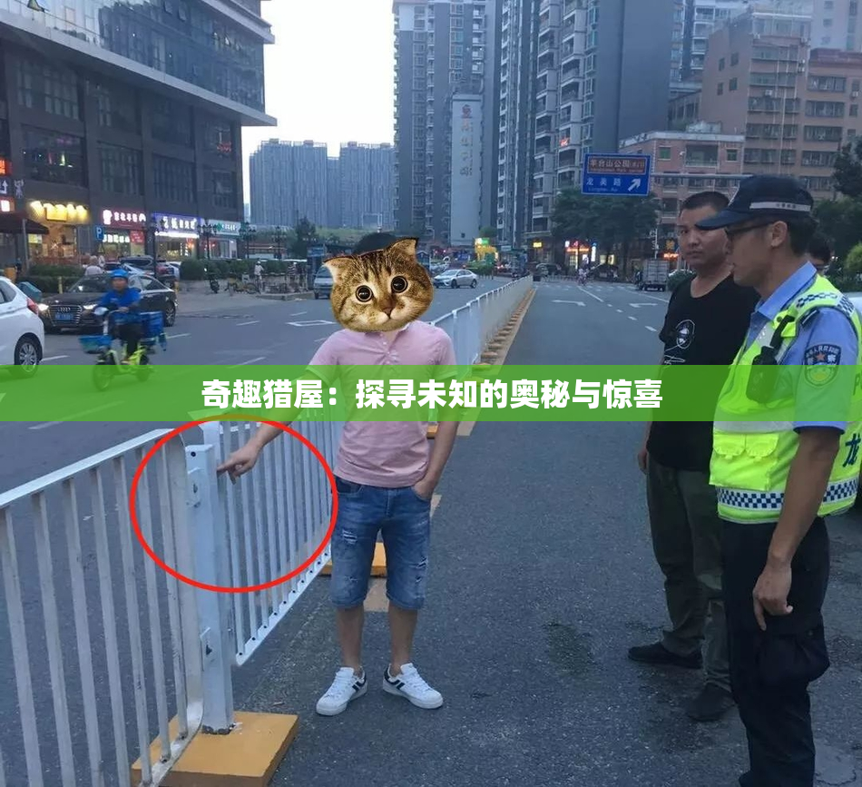 奇趣猎屋：探寻未知的奥秘与惊喜