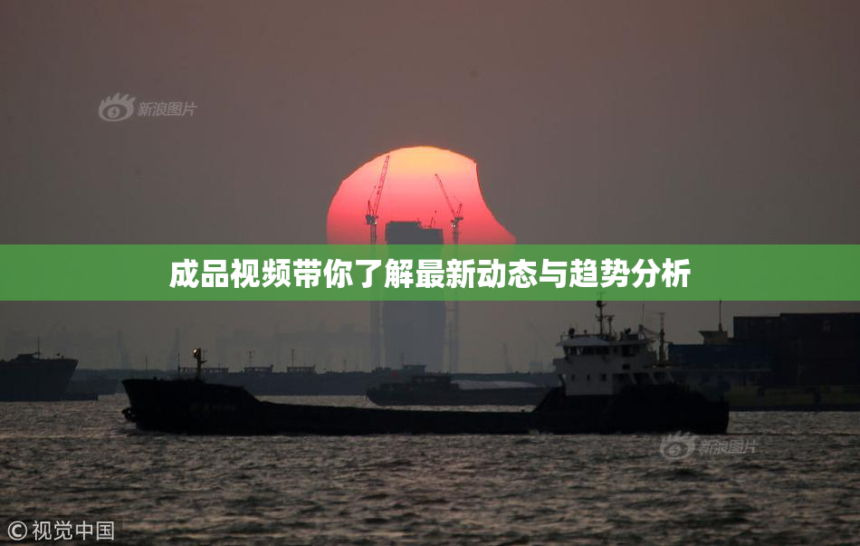 成品视频带你了解最新动态与趋势分析
