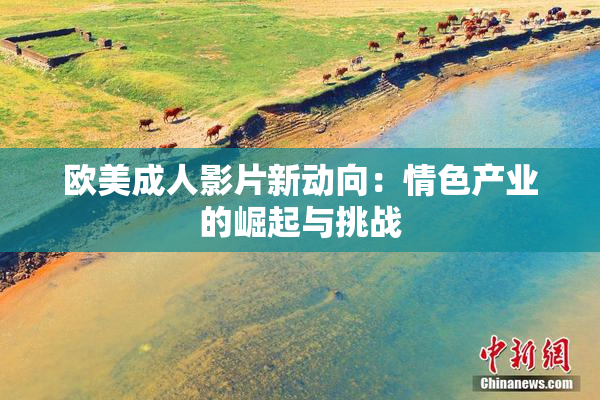 欧美成人影片新动向：情色产业的崛起与挑战