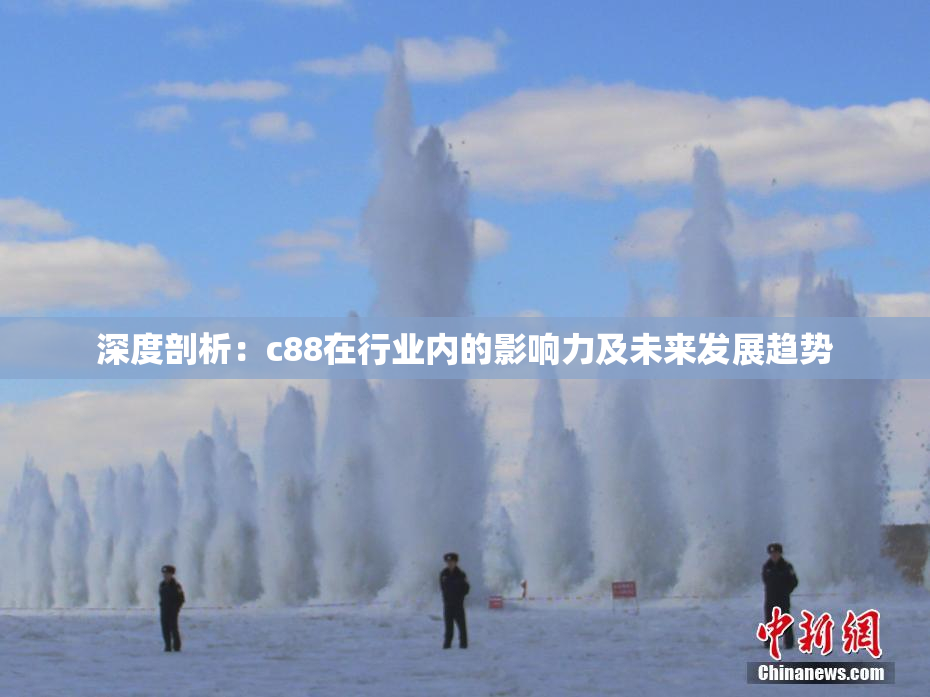 深度剖析：c88在行业内的影响力及未来发展趋势