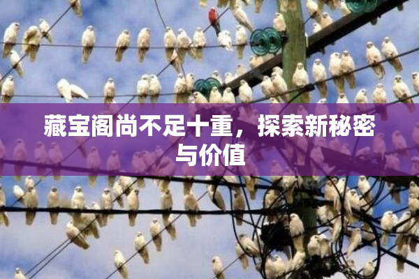 藏宝阁尚不足十重，探索新秘密与价值