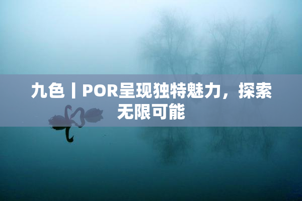 九色丨POR呈现独特魅力，探索无限可能