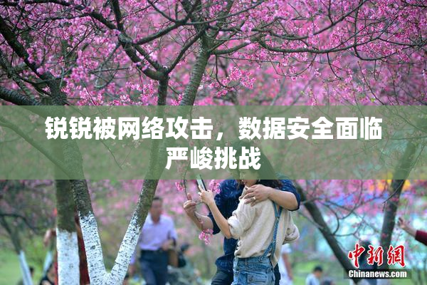 锐锐被网络攻击，数据安全面临严峻挑战