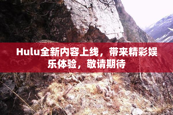 Hulu全新内容上线，带来精彩娱乐体验，敬请期待