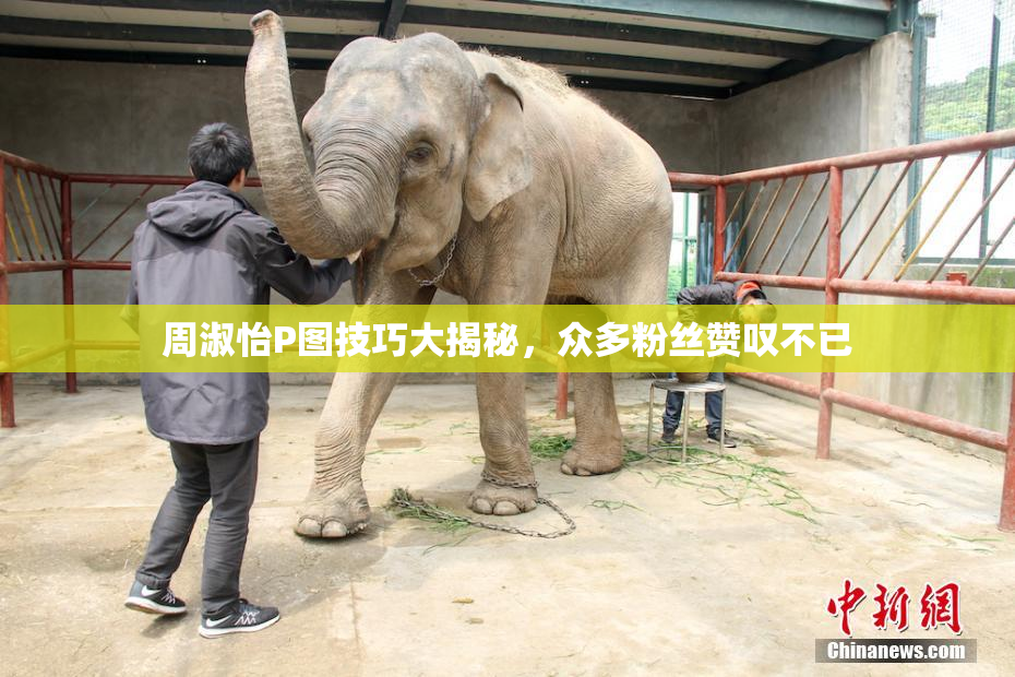 周淑怡P图技巧大揭秘，众多粉丝赞叹不已