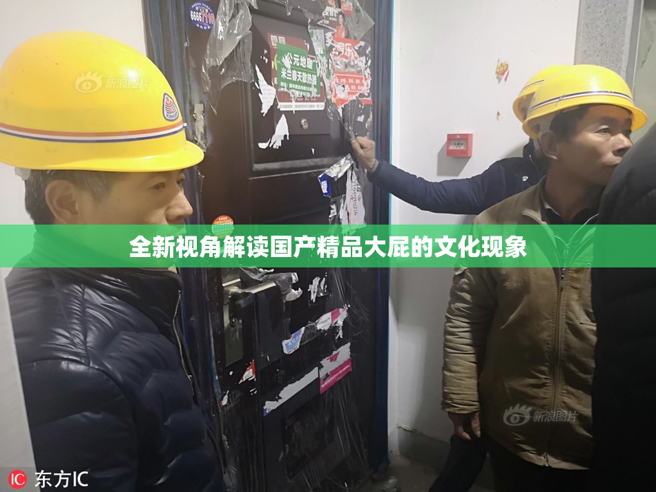 全新视角解读国产精品大屁的文化现象