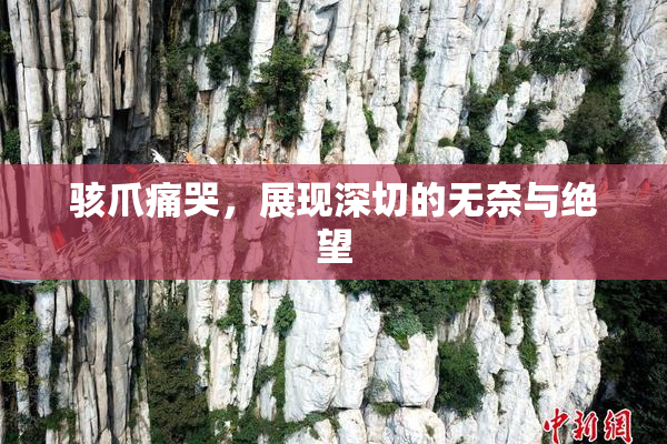 骇爪痛哭，展现深切的无奈与绝望