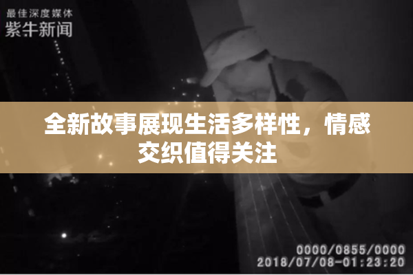 全新故事展现生活多样性，情感交织值得关注