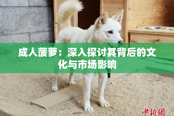 成人菠萝：深入探讨其背后的文化与市场影响