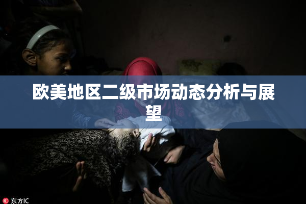 欧美地区二级市场动态分析与展望
