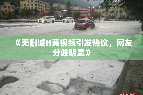 《无删减H黄视频引发热议，网友分歧明显》
