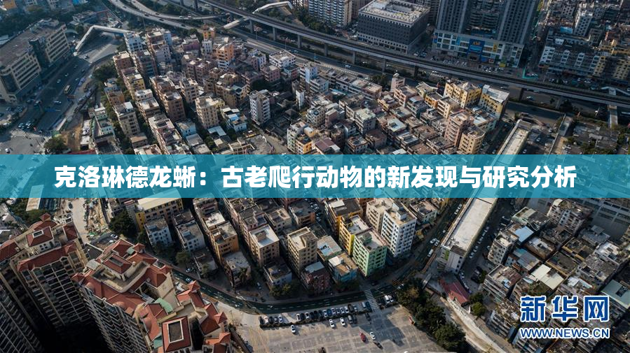 克洛琳德龙蜥：古老爬行动物的新发现与研究分析