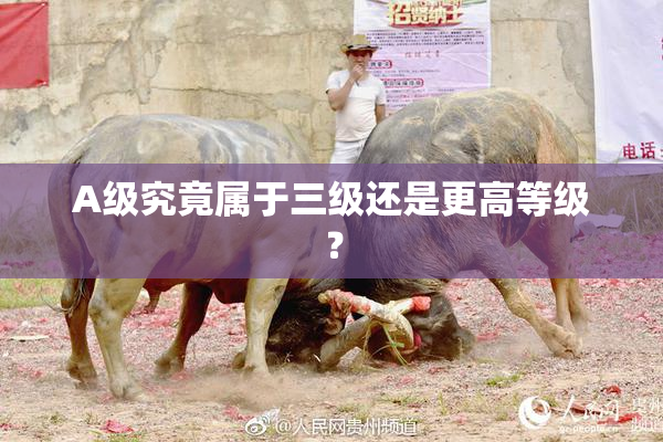 A级究竟属于三级还是更高等级？