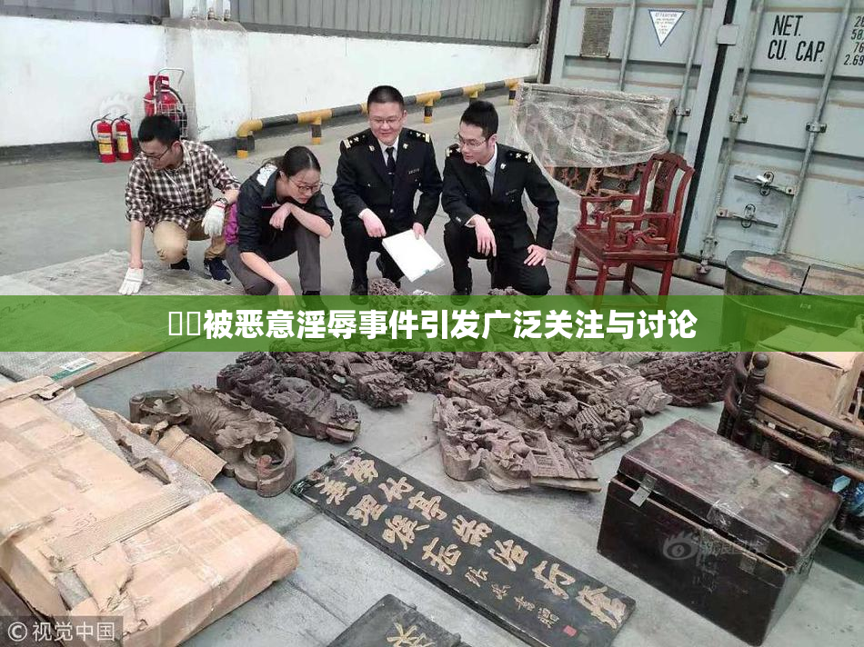 妺妺被恶意淫辱事件引发广泛关注与讨论