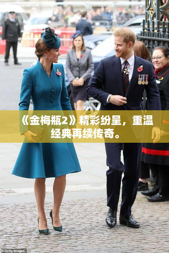 《金梅瓶2》精彩纷呈，重温经典再续传奇。