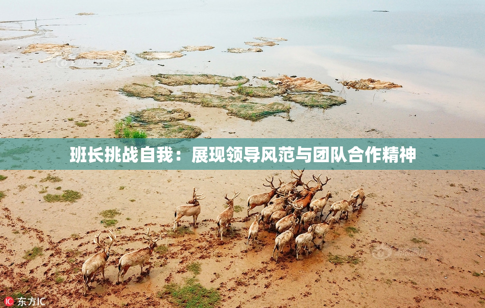班长挑战自我：展现领导风范与团队合作精神