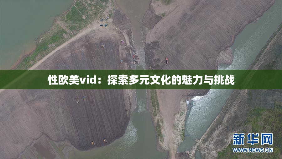 性欧美vid：探索多元文化的魅力与挑战
