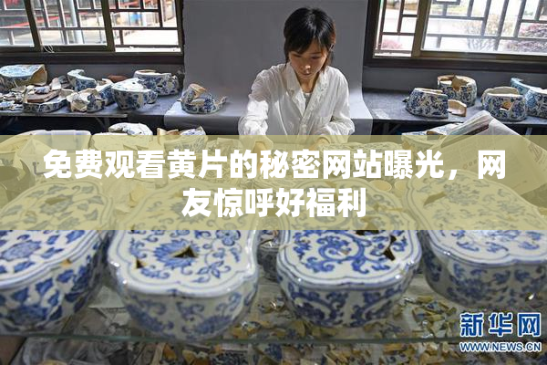 免费观看黄片的秘密网站曝光，网友惊呼好福利