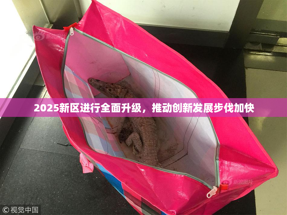 2025新区进行全面升级，推动创新发展步伐加快