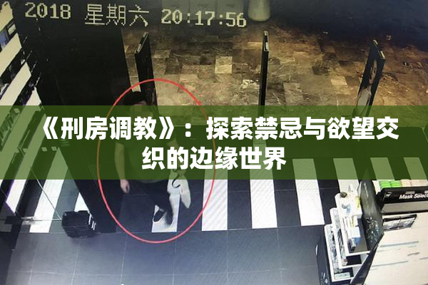 《刑房调教》：探索禁忌与欲望交织的边缘世界