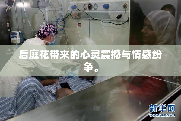 后庭花带来的心灵震撼与情感纷争。